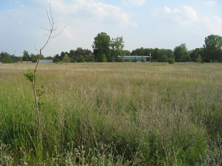 Commerce Drive-In Theatre - The Field